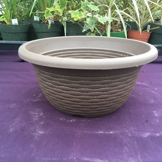11.5" Chocolate Bowl