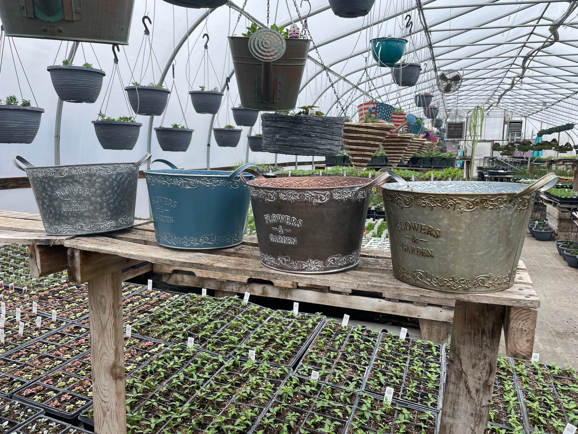 Pottery/Containers Aunt Beez Greenhouse