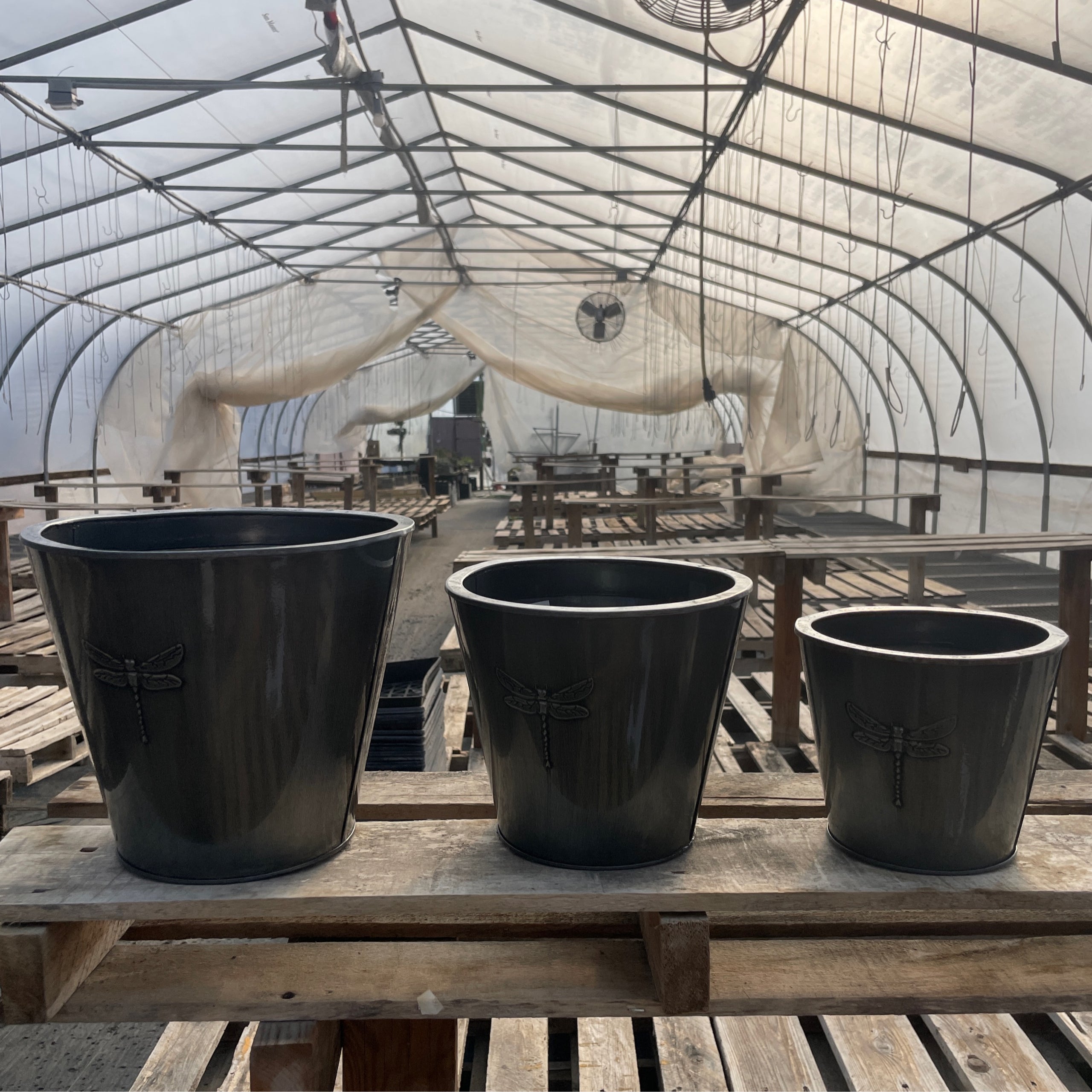 Zinc Round Dragonfly Planter Aunt Beez Greenhouse